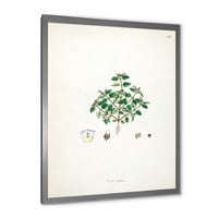 Designart 'ősi növényi élet xiii' parasztház keretes művészeti nyomtatás