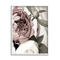 Virágzó bazsarózsa virágbimbók Botanikus és virágfotó fehér keretes művészeti nyomtatási fal művészet