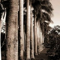 King Palms, Mauritius Poszter Nyomtatás Cyril Blue