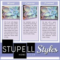 Stupell Industries legyen kedves kifejezés puha cserepes pozsgás növények vászon fal művészet, 40, Design: Ziwei Li