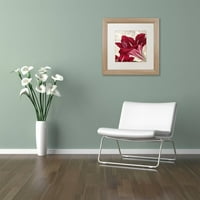 Védjegy Képzőművészet amaryllis vászon művészet, Color Bakery White Matte, Birch Frame